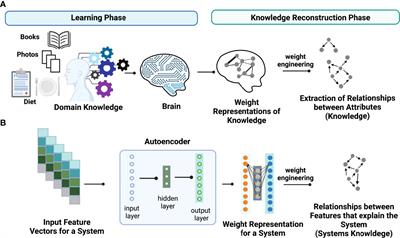 A Knowledge-Based Discovery Approach Couples Artificial Neural Networks With Weight Engineering to Uncover Immune-Related Processes Underpinning Clinical Traits of Breast Cancer